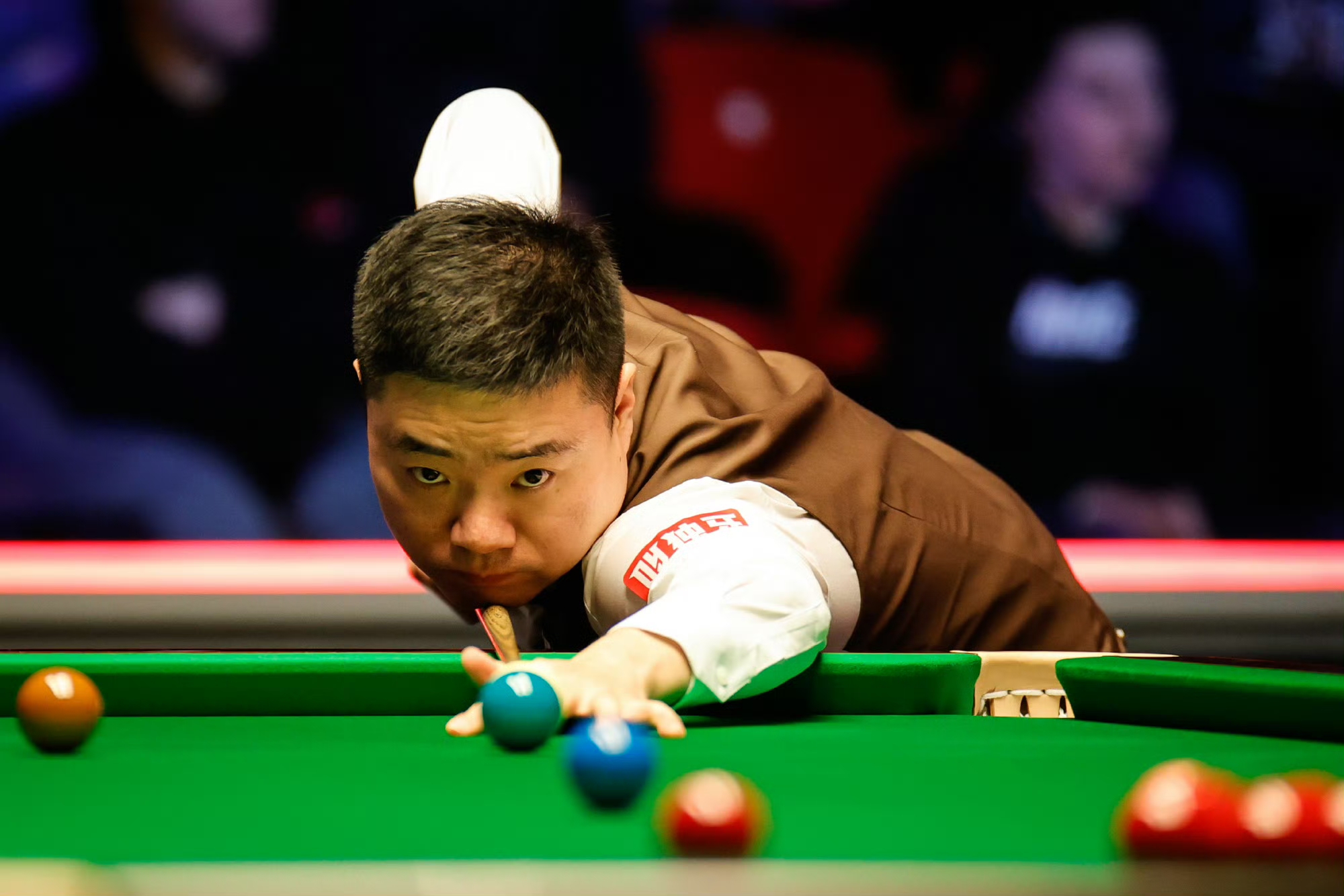 手的占比 手的占比